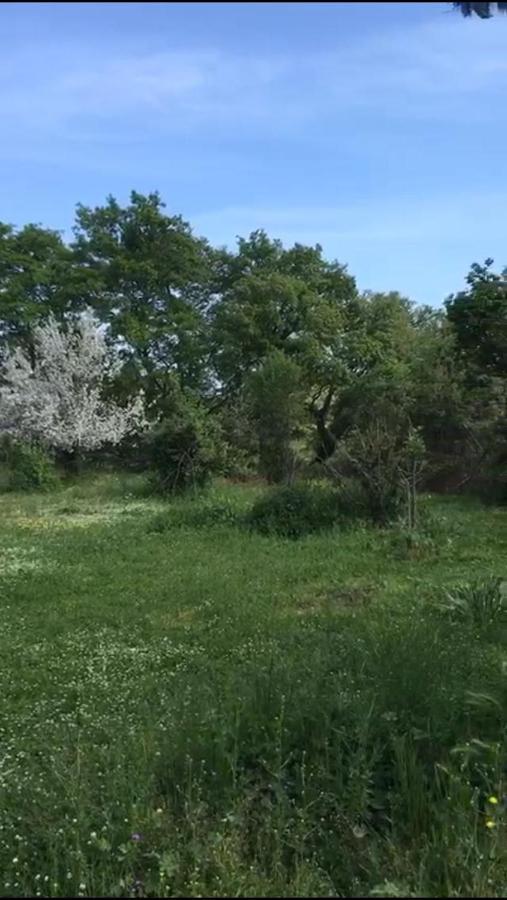 Il Casale Del Popolo Villa Barbarano Romano Dış mekan fotoğraf
